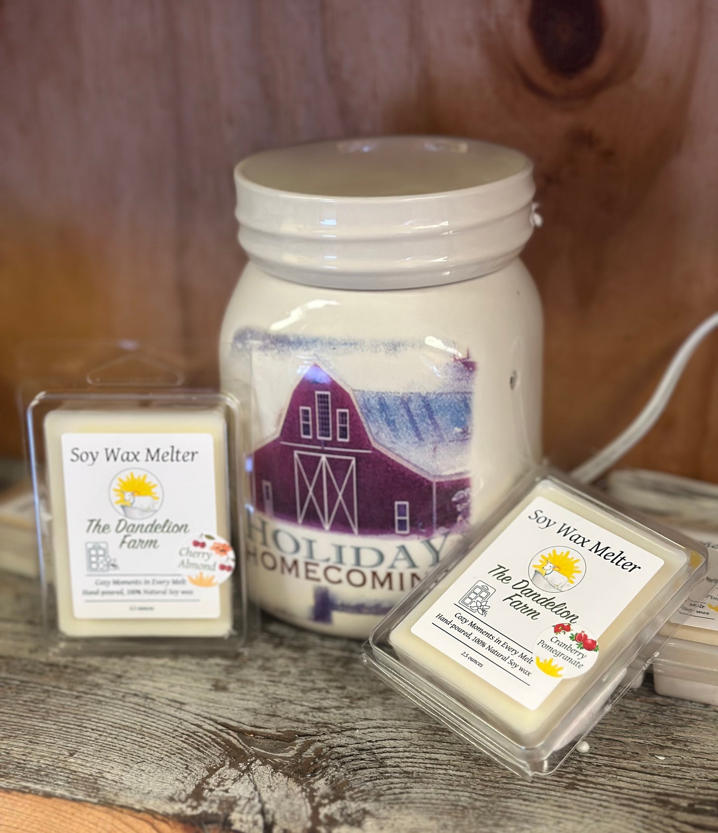 Soy Wax Melter