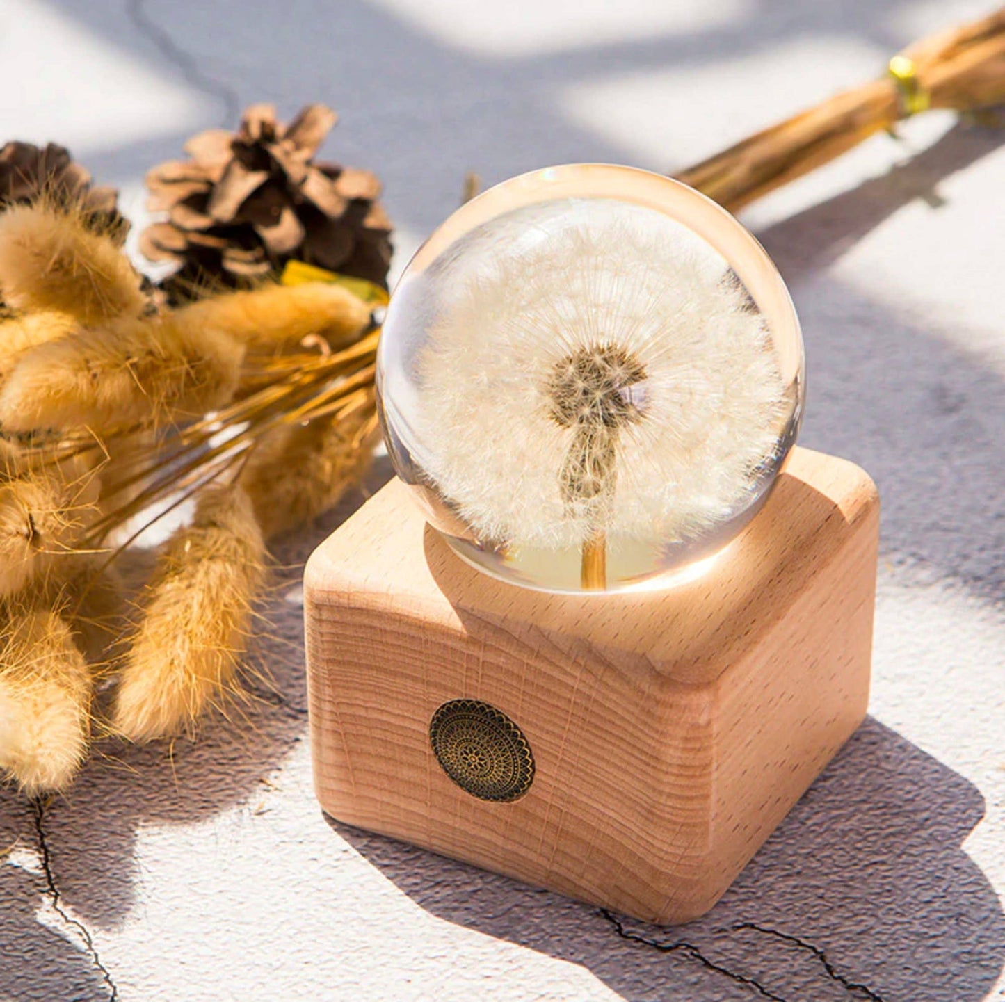 Real Dandelion Crystal Ball with Wooden Base