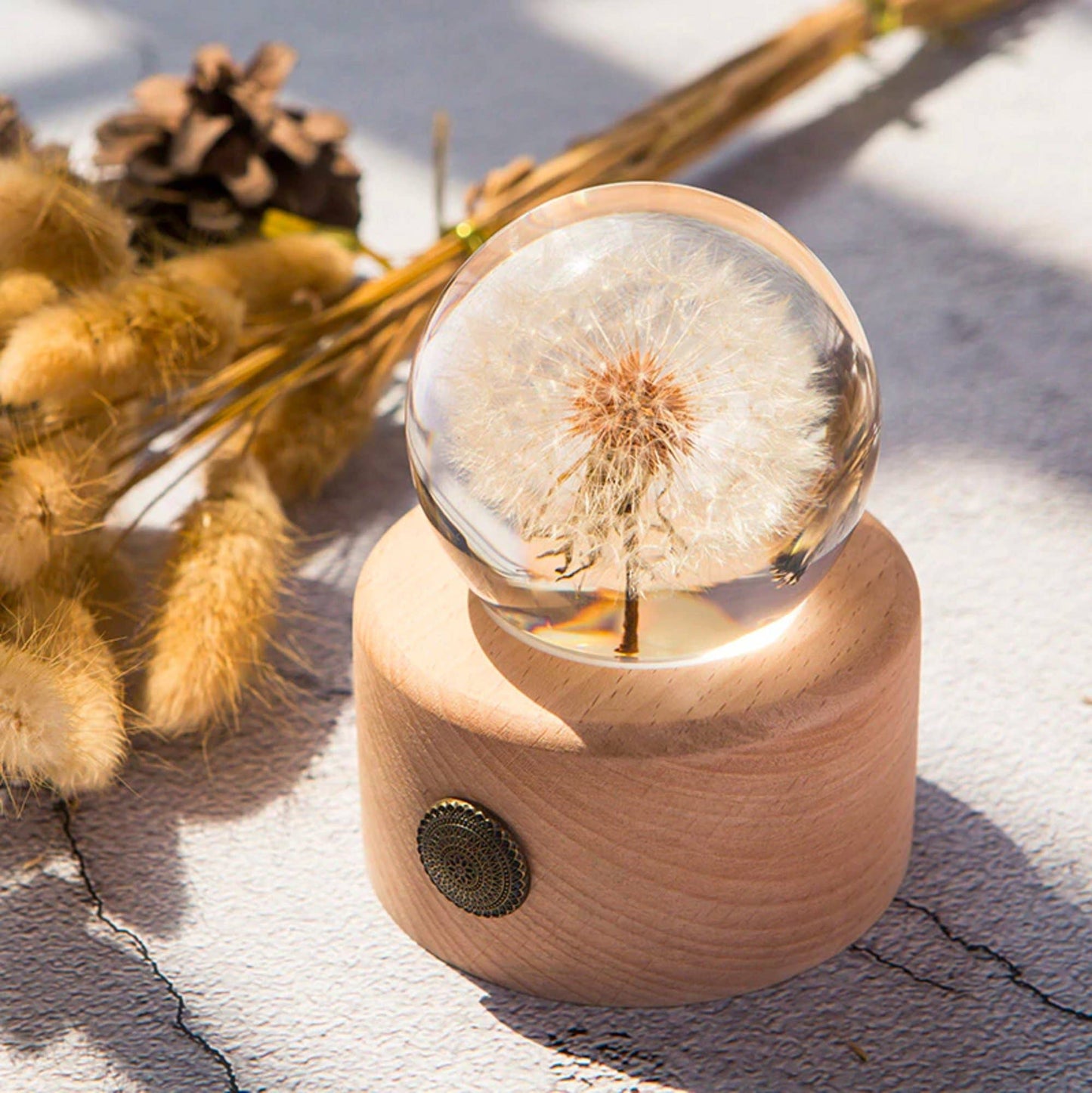 Real Dandelion Crystal Ball with Wooden Base