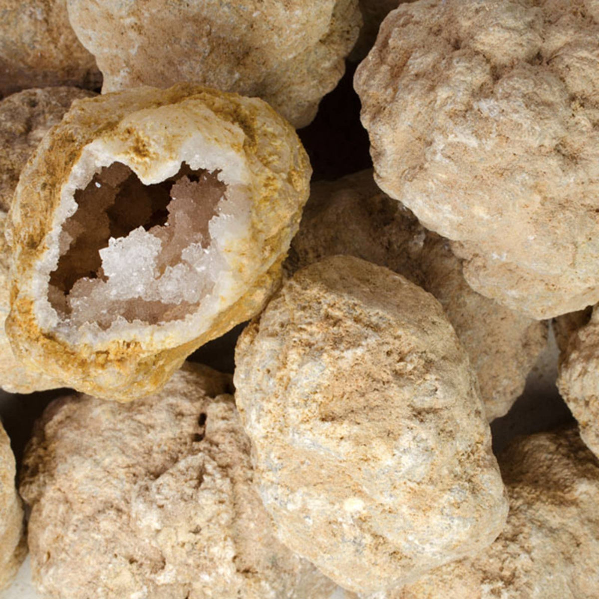 Break Your Own Geodes - 1 lb - Raw Natural Stones (Sm/Med)