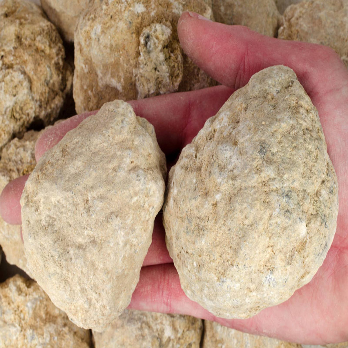 Break Your Own Geodes - 1 lb - Raw Natural Stones (Sm/Med)