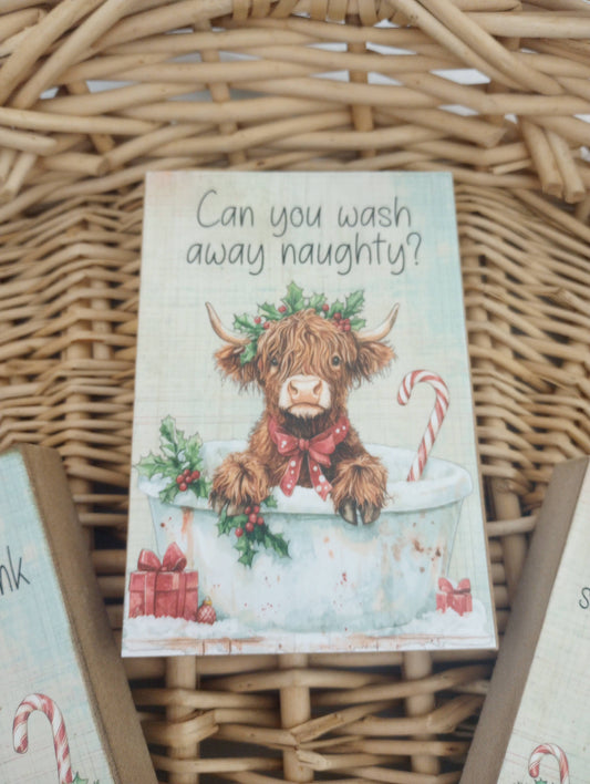 Naughty Highland Calves - Wash away naughty