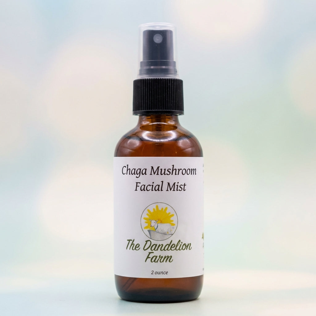 A close-up shot of the Chaga Facial Mist bottle, captured with a high-resolution macro lens, illuminated by softbox studio lighting to highlight the sleek, transparent glass with a subtle frosted finish. The background is a clean, minimalist gradient in pa