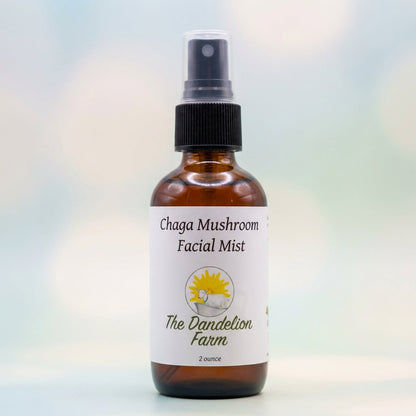 A close-up shot of the Chaga Facial Mist bottle, captured with a high-resolution macro lens, illuminated by softbox studio lighting to highlight the sleek, transparent glass with a subtle frosted finish. The background is a clean, minimalist gradient in pa