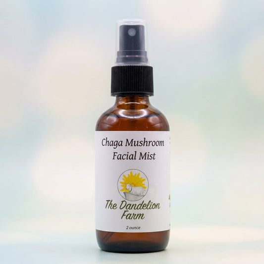 A close-up shot of the Chaga Facial Mist bottle, captured with a high-resolution macro lens, illuminated by softbox studio lighting to highlight the sleek, transparent glass with a subtle frosted finish. The background is a clean, minimalist gradient in pa