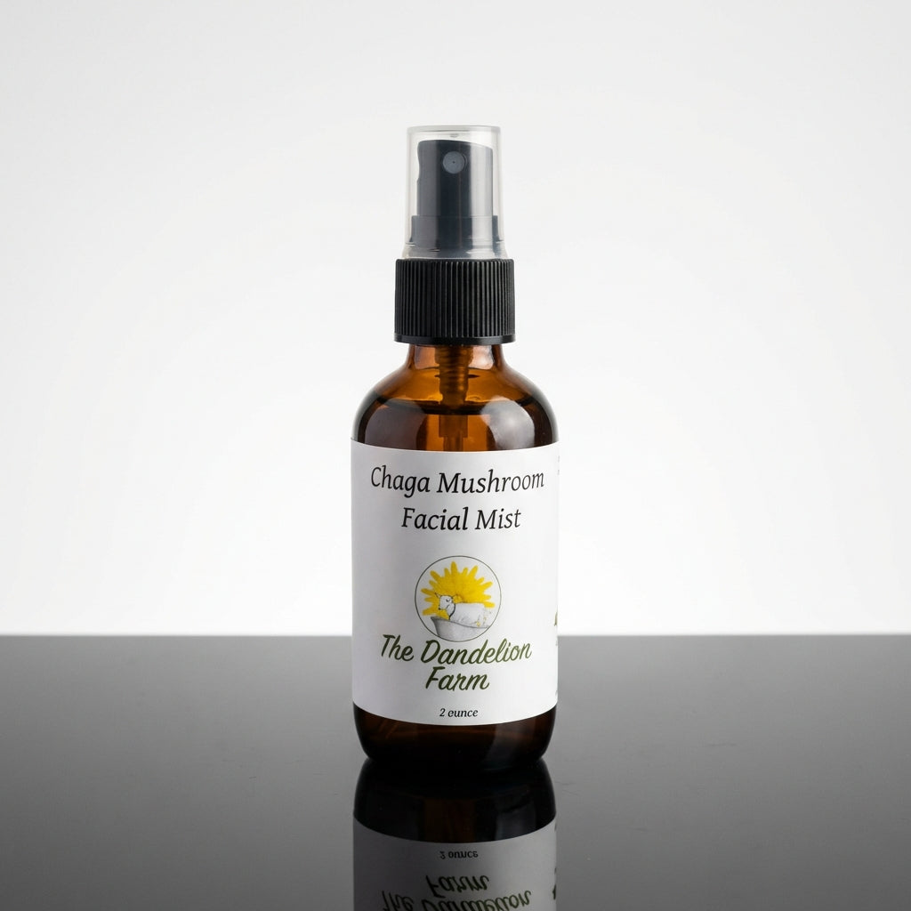 A professional product shot in a modern, high-end studio setting, with the Chaga Facial Mist positioned on a reflective black surface under a diffused daylight softbox. The shot is a low-angle, three-quarter view that captures the label and the fine mist s