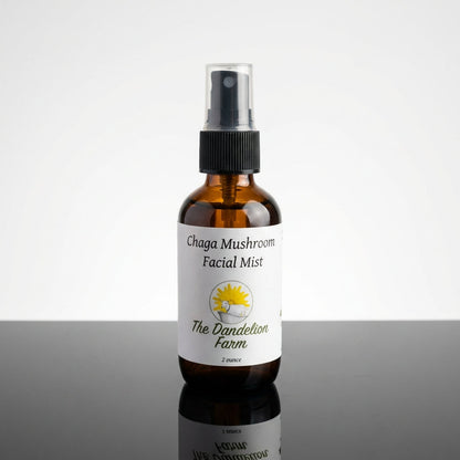 A professional product shot in a modern, high-end studio setting, with the Chaga Facial Mist positioned on a reflective black surface under a diffused daylight softbox. The shot is a low-angle, three-quarter view that captures the label and the fine mist s