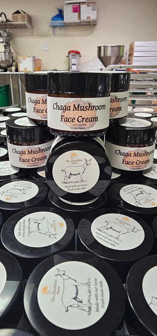 Chaga Face Cream